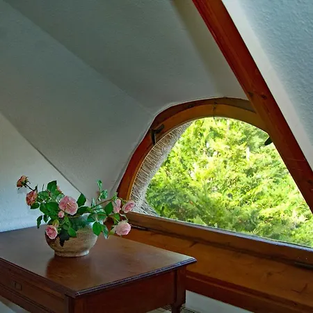 Vakantiehuis Reeddachhaus Mit Seeblick - Ruhe - Traumhafter Lage Am Selliner