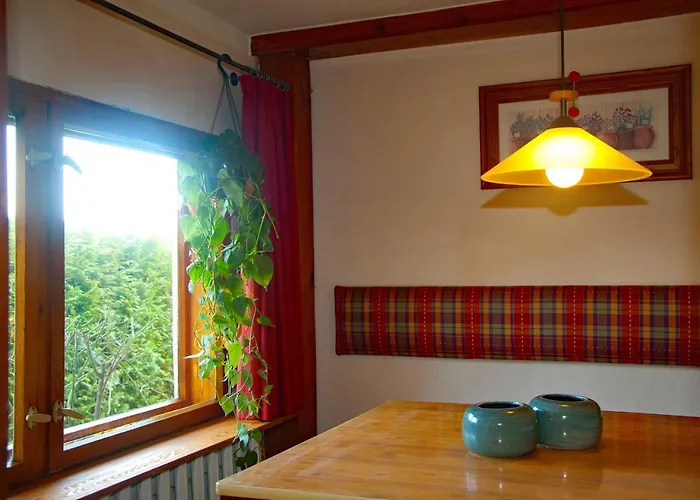 Reeddachhaus Mit Seeblick - Ruhe - Traumhafter Lage Am Selliner Ferienhaus